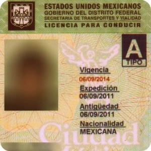 DSample of Mexican driver's license translation